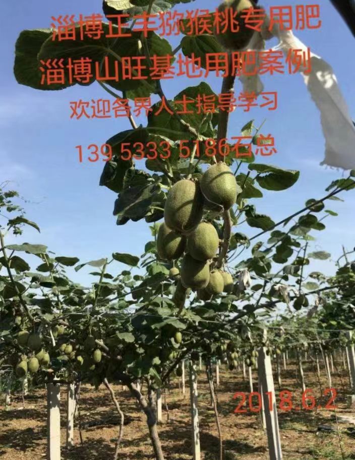 合作案例
