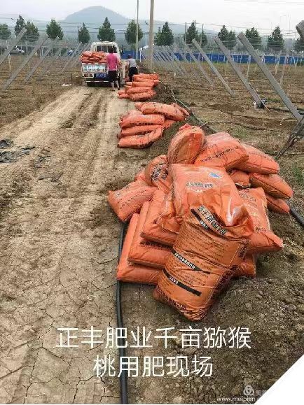 合作案例