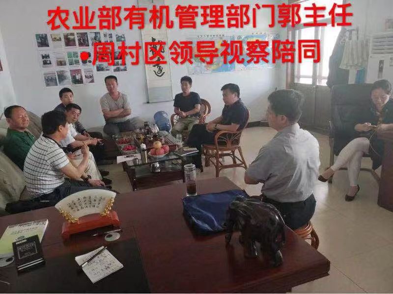 合作案例